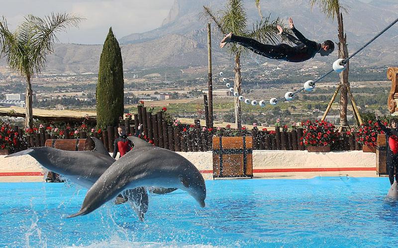 B - Coblanca 3 Levante 1 Dorm * Benidorm
